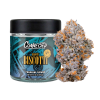 biscotti strain