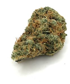Blue Dream Strain