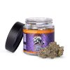 Granddaddy Purple Strain