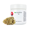 Gorilla Glue Strain