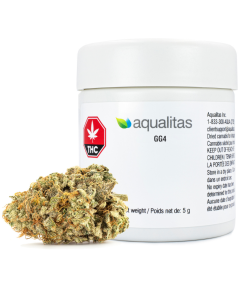 Gorilla Glue Strain