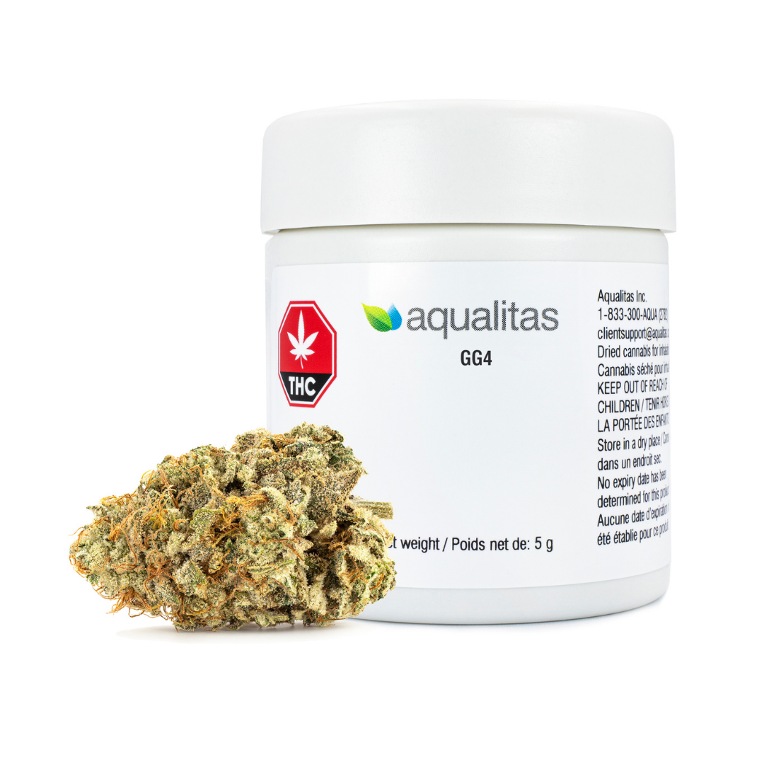 Gorilla Glue Strain
