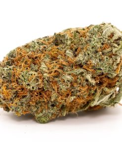 Girl Scout Cookies Strain