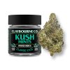 Kush Mints Strain