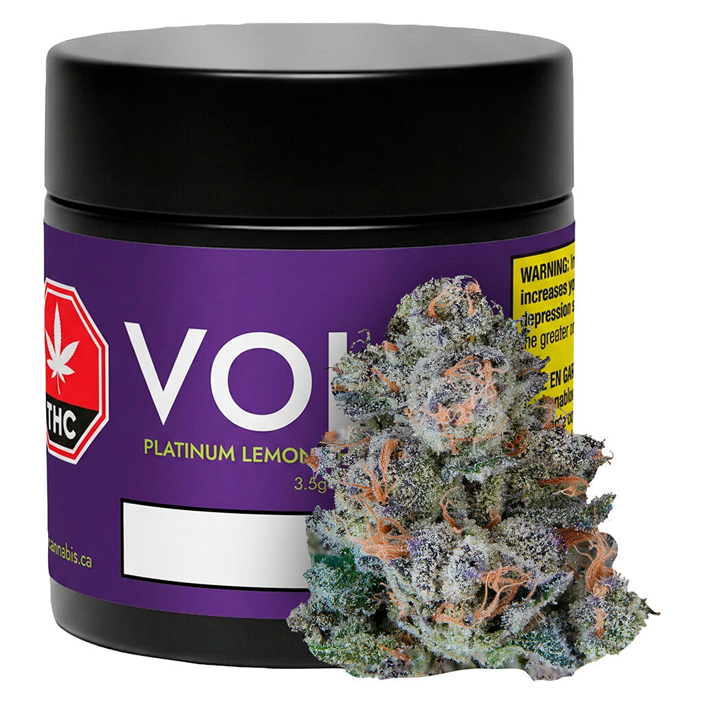 Platinum Lemon Cherry Gelato Strain