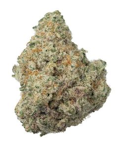 Miracle Alien Cookies Strain
