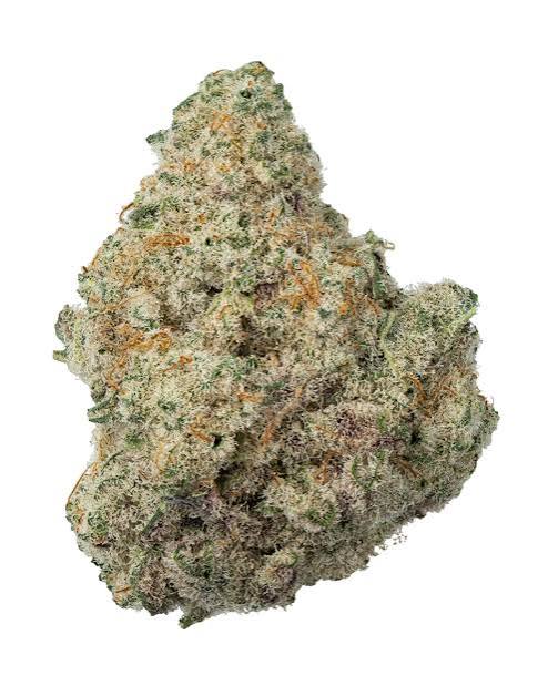 Miracle Alien Cookies Strain
